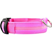 TOOGOO（R））））) Perro de Nylon LED Nocturna de Seguridad Collar Intermitente Correa del Light-up Pink M